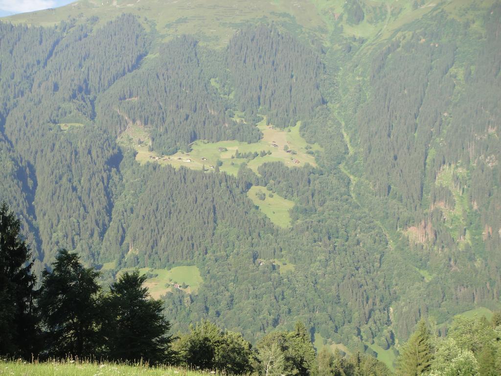 Maisaess Lifinarblick Villa Schruns Cameră foto