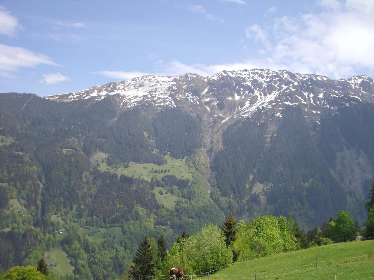 Maisaess Lifinarblick Villa Schruns Exterior foto