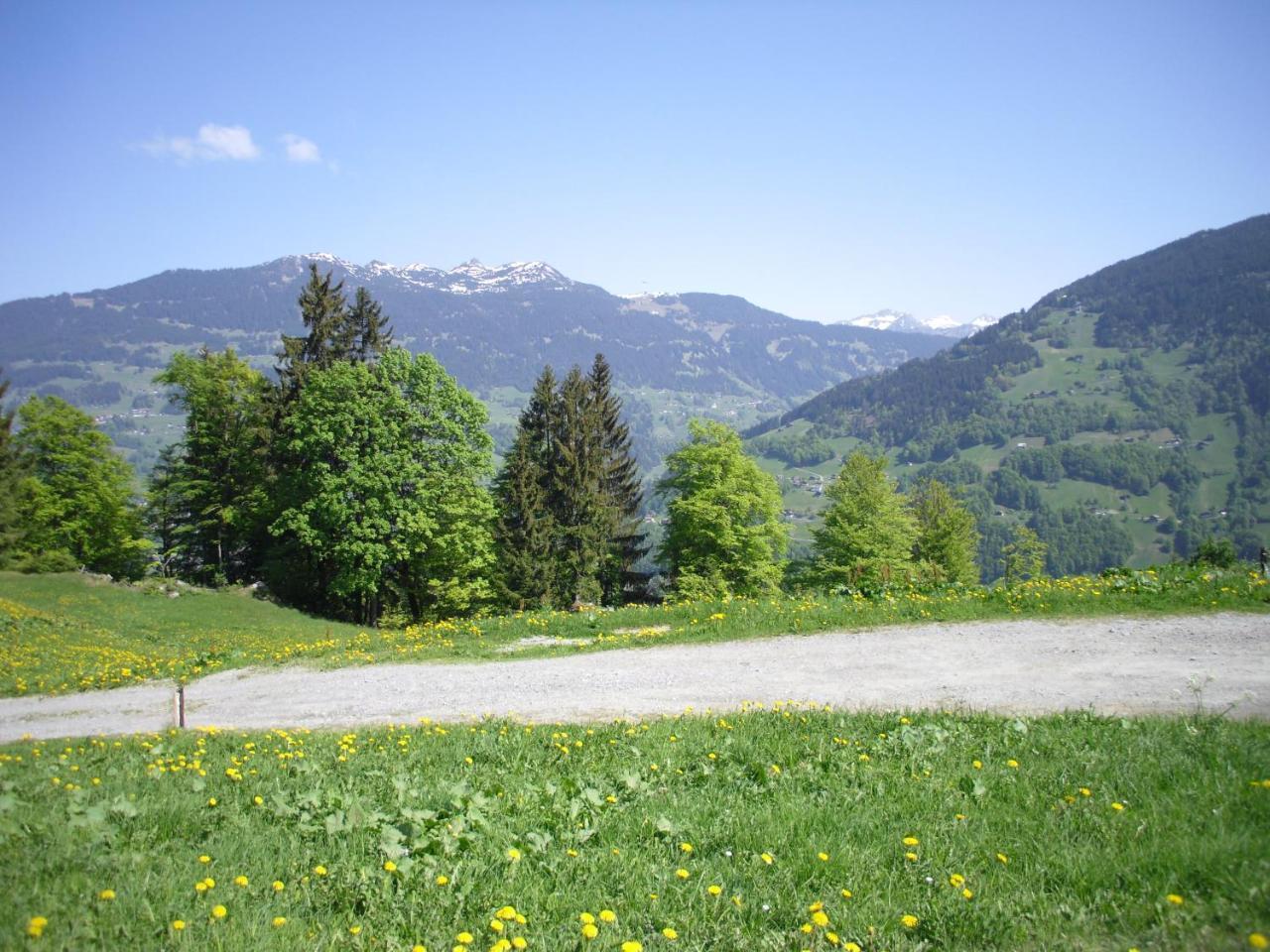 Maisaess Lifinarblick Villa Schruns Exterior foto