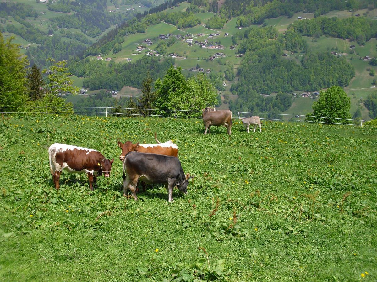 Maisaess Lifinarblick Villa Schruns Exterior foto